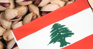 صادرات پسته به لبنان