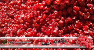 قیمت زرشک در شیراز